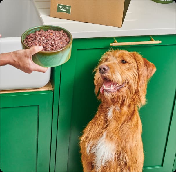 High-quality protein